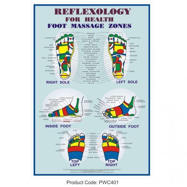Reflexology Feet Chart Guide Poster