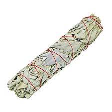 White Sage Smudge Stick Jumbo