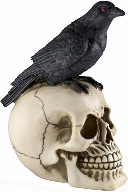Raven Skull XL Resin Figure