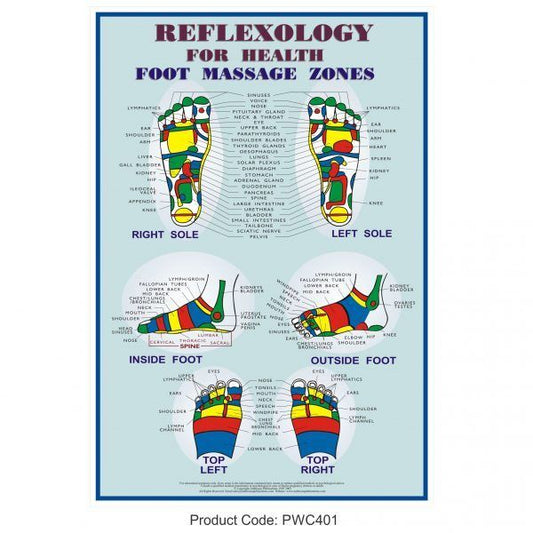 Reflexology Feet Chart Guide Poster